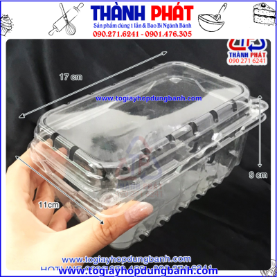 Hộp nhựa P500B đựng nửa kg dâu -Hộp nhựa P500B đựng nửa kg nho -Hộp nhựa P500B đựng nửa kg mận hà nội
