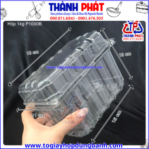 Hộp nhựa đựng trái cây- hộp nhựa P1000B- hộp đựng 1kg trái cây- hộp nhựa đục lỗ- hộp đựng nho 1kg