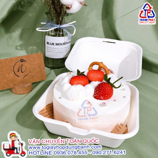 Hộp bã mía vuông trắng dùng đựng bento cake- Hộp bã mía vuông dùng đựng bánh kem mini - Hộp bã mía vuông dùng đựng bánh