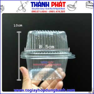 Hộp nhựa H17- Hộp đựng cupcake- Hộp đựng bánh kem mini- Hộp nhựa vuông đựng bánh- Hộp đựng bánh ngọt