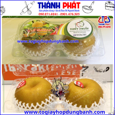 Hộp đựng 2 trái lê- hộp đựng táo lớn- hộp trái cây cao cấp- hộp đựng trái cây đẹp