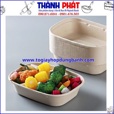 Hộp bã mía 1 ngăn đựng cơm sầu riêng - Hộp bã mía đựng bánh ngọt - Hộp bã mía đựng sushi - Hộp bã mía đựng sashimi - Hộp bã mía đựng thức ăn healthy - salad