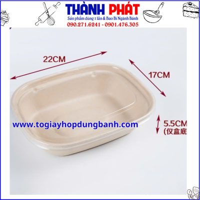 Hộp bã mía 1 ngăn đựng cơm sầu riêng - Hộp bã mía đựng bánh ngọt - Hộp bã mía đựng sushi - Hộp bã mía đựng sashimi - Hộp bã mía đựng thức ăn healthy - salad