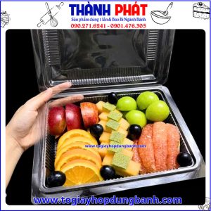 Hộp đựng trái cây cắt sẵn tiện lợi-Hộp DTD đựng bánh trong suốt cao cấp – Hộp đựng bánh bông lan-Hộp đựng đồ ăn nhanh