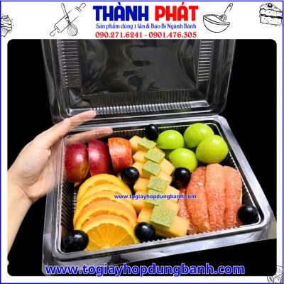 Hộp đựng trái cây cắt sẵn tiện lợi-Hộp DTD đựng bánh trong suốt cao cấp – Hộp đựng bánh bông lan-Hộp đựng đồ ăn nhanh
