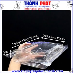 Kích thước hộp đựng đồ ăn nhanh- hộp nhựa nắp liền-hộp DTD đựng bánh-hộp đựng bánh trong suốt tiện lợi