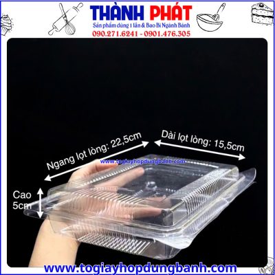 Kích thước hộp đựng đồ ăn nhanh- hộp nhựa nắp liền-hộp DTD đựng bánh-hộp đựng bánh trong suốt tiện lợi