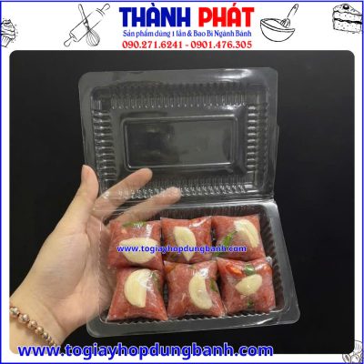 hộp H30- hộp nhựa đựng nem chua- hộp nhựa trong suốt đựng bánh- hộp đựng đồ ăn nhanh- hộp nhựa PET