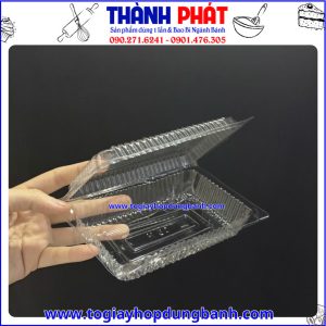 hộp nhựa trong suốt đựng bánh- hộp đựng đồ ăn nhanh- hộp nhựa PET- hộp đựng bánh mini- hộp đựng sushi nhỏ