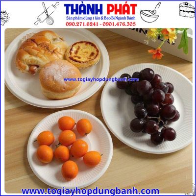 dĩa giấy tròn đựng bánh kem- dĩa giấy tròn dùng 1 lần- dĩa giấy teabreak- dĩa giấy đựng bánh ngọt- dĩa giấy đựng trái cây nhỏ