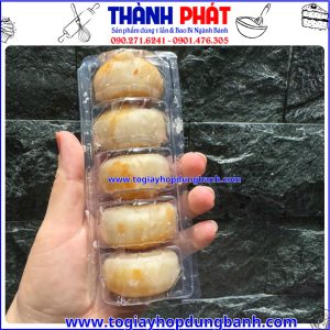 hộp 5 ngăn đựng bánh- hộp đựng bánh pía- hộp bánh mini- hộp nhựa đựng bánh