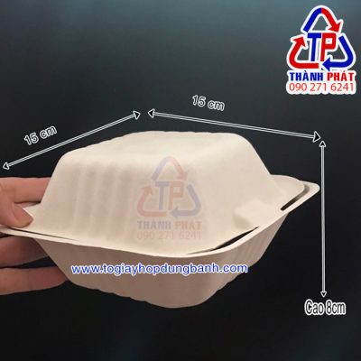 Hộp bã mía vuông đựng bánh kem mini - Hộp bã mía đựng bánh bento cake 