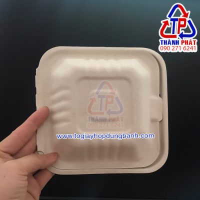 Hộp bã mía vuông đựng bánh kem mini - Hộp bã mía đựng bánh bento cake 