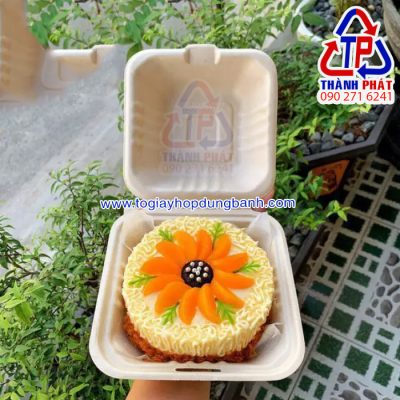 Hộp bã mía vuông đựng bánh kem mini - Hộp bã mía đựng bánh bento cake 