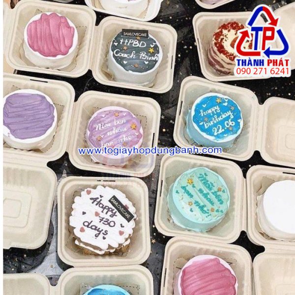 Hộp bã mía vuông đựng bánh kem mini - Hộp bã mía đựng bánh bento cake