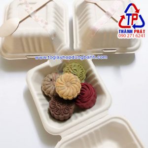 Hộp bã mía vuông đựng bánh kem mini - Hộp bã mía đựng bánh bento cake