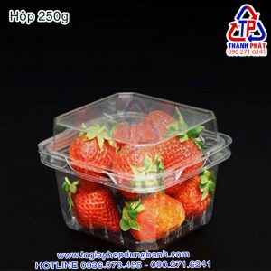 Hộp P250A - Hộp đục lỗ P250A - Hộp đựng dâu 250g - Hộp đựng cherry 250g - Hộp đựng nấm rơm 250g