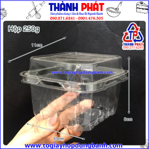 Hộp đựng 250G trái cây P250A
