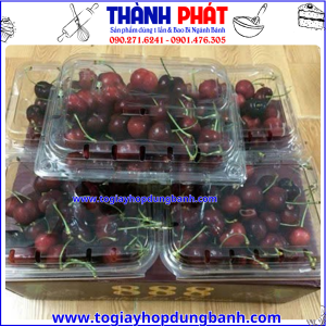 hộp đựng trái cây 0.5kg- hộp đựng dâu tây trong suốt -hộp đựng nho cherry cà chua bi- hộp nhựa có lỗ thoáng đựng trái cây