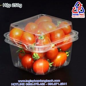 Hộp P250A - Hộp đục lỗ P250A - Hộp đựng dâu 250g - Hộp đựng cherry 250g - Hộp đựng nấm rơm 250g