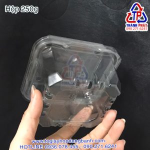 Hộp P250A - Hộp đục lỗ P250A - Hộp đựng dâu 250g - Hộp đựng cherry 250g - Hộp đựng nấm rơm 250g