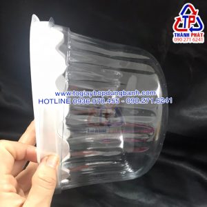 Hộp H47 bầu - Hộp H47 mô - Hộp H47 vòm - Hộp H47 đựng bánh kem 20cm - Hộp đựng bánh đào tiên 20cm