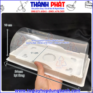 Hộp H123 đựng bánh- Hộp đựng bánh bông lan cuộn 24cm- Hộp đựng rau câu cá chép- Hộp đựng rau câu 3D- Hộp nhựa đựng bánh dài