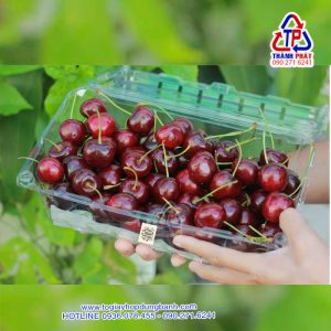 Hộp nhựa đựng trái cây 1kg P1000A - Hộp P1000A đựng nho - Hộp 1kg đựng nho - Hộp đựng trái cây nhập khẩu P1000A