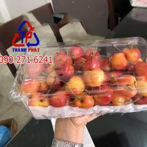 Hộp nhựa đựng trái cây 1kg P1000A - Hộp P1000A đựng nho - Hộp 1kg đựng nho - Hộp đựng trái cây nhập khẩu P1000A