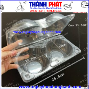 Hộp đựng lê nhập khẩu- hộp đựng 2 trái lê- hộp đựng táo lớn- hộp trái cây cao cấp