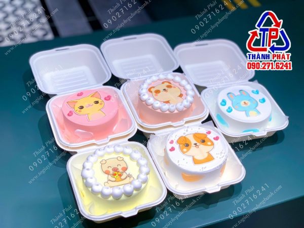 Hộp bã mía vuông đựng bánh bento cake - Hộp bã mía vuông đựng bánh ngọt - hộp bã mía vuông đựng bánh kem mini