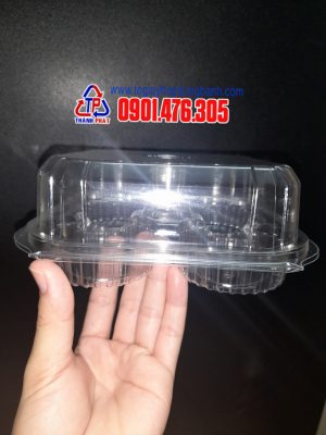 Hộp nhựa đựng 4 cupcake, 6 cupcake, hộp đựng bánh su kem tròn, bánh su sing, hộp đựng bánh trứng, hộp đựng 4 bánh tart, 6 bánh tart, hộp đựng kiwi, dâu tây 