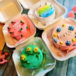 Hộp bã mía vuông đựng bánh bento cake - Hộp bã mía vuông đựng bánh ngọt - hộp bã mía vuông đựng bánh kem mini