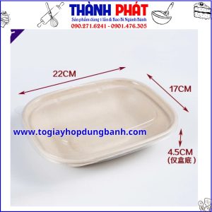 Hộp bã mía 1 ngăn đựng cơm sầu riêng - Hộp bã mía đựng bánh ngọt - Hộp bã mía đựng sushi - Hộp bã mía đựng sashimi - Hộp bã mía đựng thức ăn healthy - salad