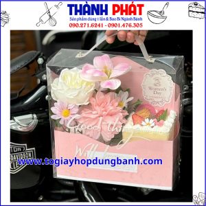 Túi mica vali đựng hoa và bánh tặng quà - Túi quà tặng mica bìa thư - Túi mica bìa thư đựng bánh và hoa - Hộp mica bìa thư - Túi vali bìa thư tặng quà