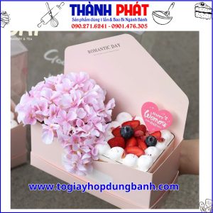 Túi mica vali đựng hoa và bánh tặng quà - Túi quà tặng mica bìa thư - Túi mica bìa thư đựng bánh và hoa - Hộp mica bìa thư - Túi vali bìa thư tặng quà