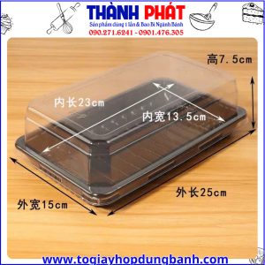 Kích thước hộp rau câu cá chép H9- hộp nhựa đựng rau câu- hộp đựng bánh rau câu 3D -hộp nhựa chữ nhật đựng bánh