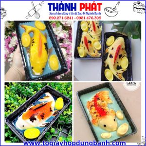 hộp đựng rau câu cá chép -hộp rau câu cá chép H9 -hộp nhựa đựng rau câu -hộp đựng bánh rau câu 3D