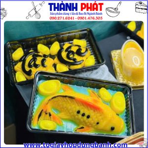 hộp rau câu cá chép H9- hộp nhựa đựng rau câu- hộp đựng bánh rau câu 3D -hộp nhựa chữ nhật đựng bánh