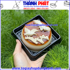hộp đựng bánh trung thu 200g -hộp jlh10-10 vuông đựng bánh trung thu -hộp XY10-10 đen- hộp nhựa đựng bánh trung thu đế vàng